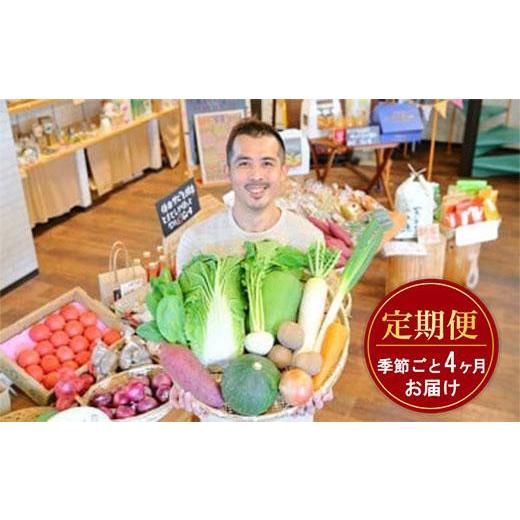 ふるさと納税 三重県 伊賀市 忍びの国の野菜セット（12品以上）季節毎に4回お届け