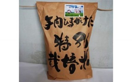 米（ハツシモ）30kg（玄米）