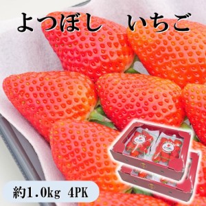 お歳暮 ギフト 2023 愛知県産 よつぼし いちご 4パック 計約1.0kg いちご 苺 セット 愛媛 グルメ 詰合せ 贈答品