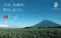 藏出 倶知安じゃが 令和5年 倶知安産 特栽 きたかむい LM 5kg D B 特別栽培 じゃがいも 越冬