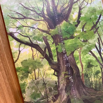 Chiya x YAYa 屋久島插畫卡本白霧杉之苔YAKUSHIMA PAPER BOOK