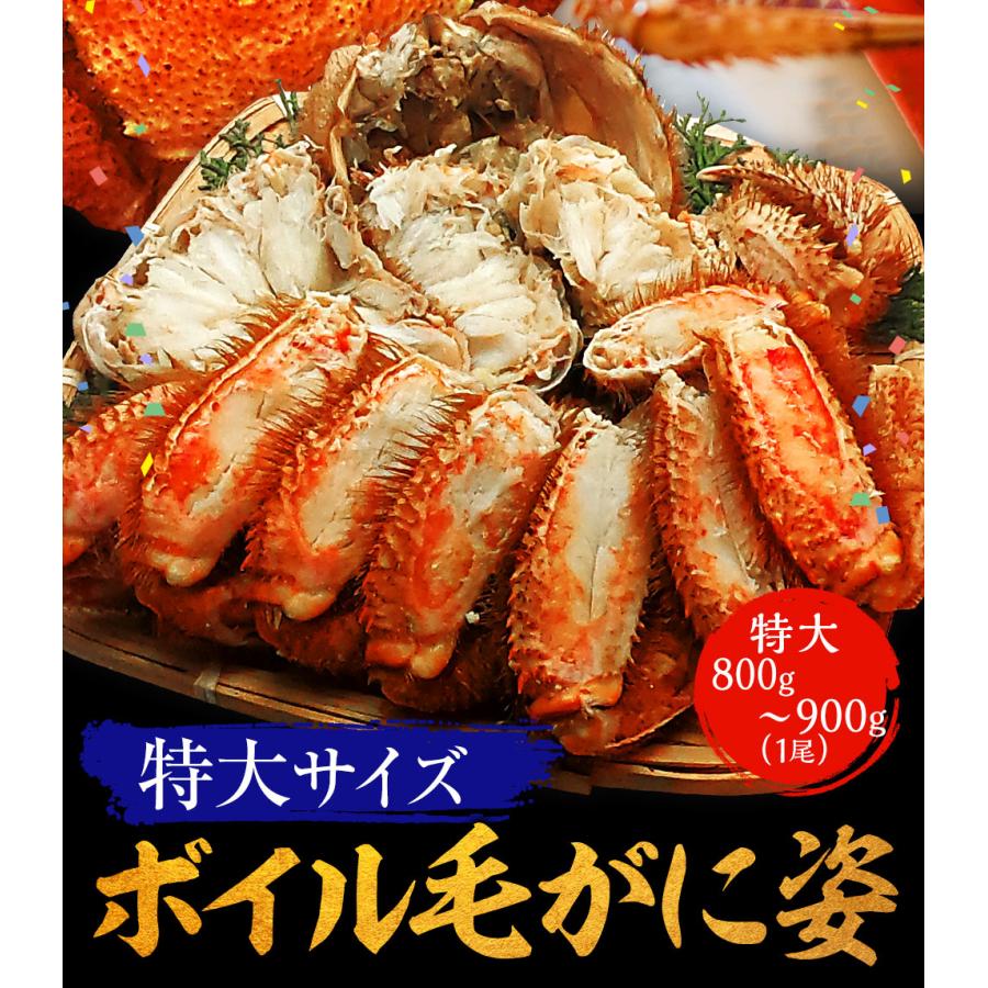 ボイル 毛ガニ 姿 特大 800g〜900g かに カニ 蟹 毛がに 毛蟹 ボイル 訳あり お歳暮 BBQ