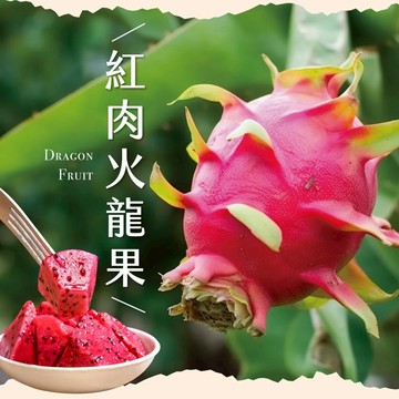 【初品果】產地直送草生栽培紅肉火龍果5斤6-9顆(1盒/2盒)-廠商直送