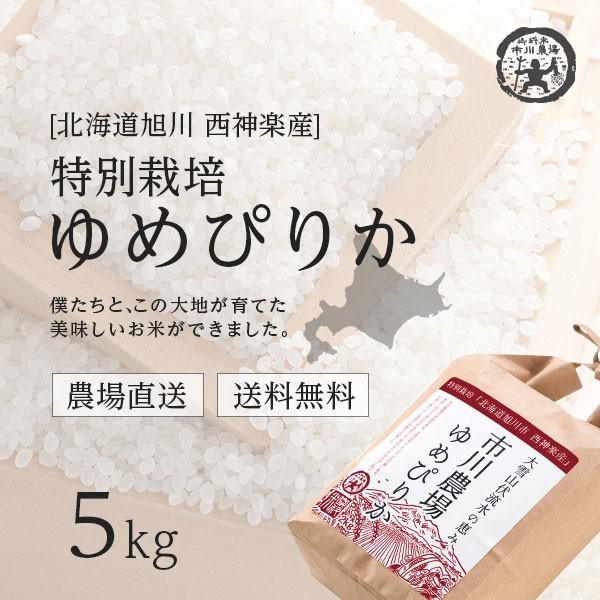 新米  ゆめぴりか 5kg 送料無料 北海道米 農家直送 令和5年産 北海道旭川産 お米 米 直前精米 ギフト