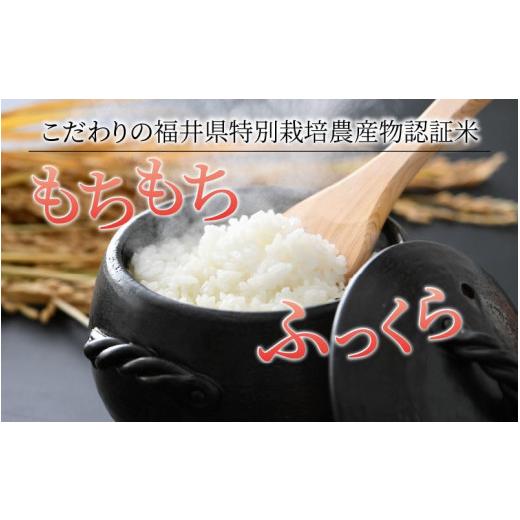 ふるさと納税 福井県 あわら市 令和5年産新米 ミルキークイーン 精米 5kg×2袋（計10kg） 特別栽培米 農薬不使用 化学肥料不使用 ／ 高品質 鮮度抜群 福井県産…