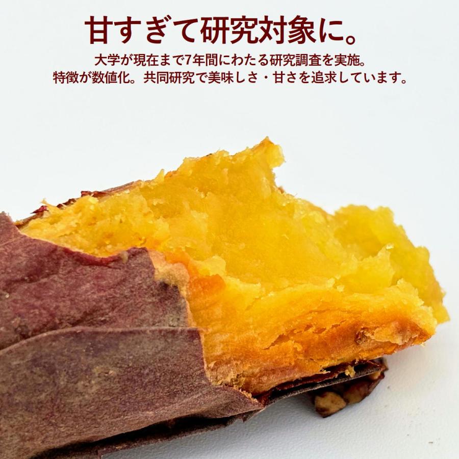 シルクスイート500g 紅はるか500g 食べ比べセット  さつまいも サツマイモ  「森の絹」  甘すぎて研究対象になった ブランド 熟成 蜜芋