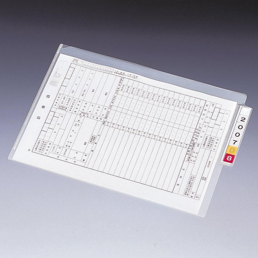 LIHIT LAB. リヒトラブ カルテフォルダーシングルポケット A4ヨコ 見出し紙付 乳白 HK708