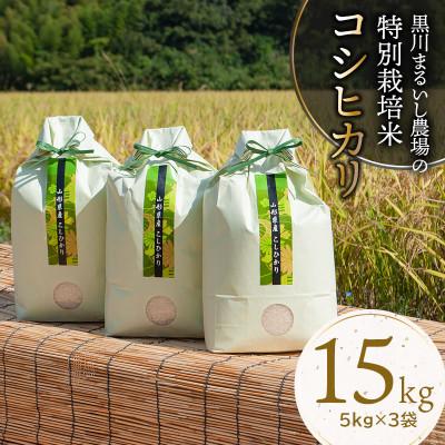 ふるさと納税 鶴岡市 黒川まるいし農場のコシヒカリ 精米 15kg(5kg×3袋)　B25-001