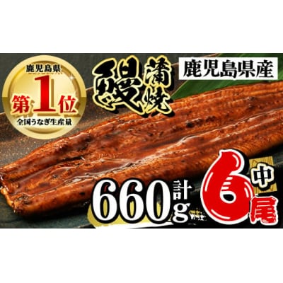 うなぎ蒲焼セット(約110g×6尾・タレ・山椒付)