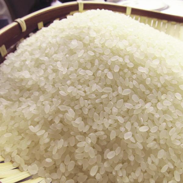 [新米 令和5年産] 弥彦産コシヒカリ 5kg (5kg×1袋) 厳選産地米 新潟米 お米 白米 こしひかり 送料無料 ギフト対応