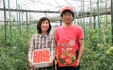 まっことうまい！水田さんのフルーツトマト