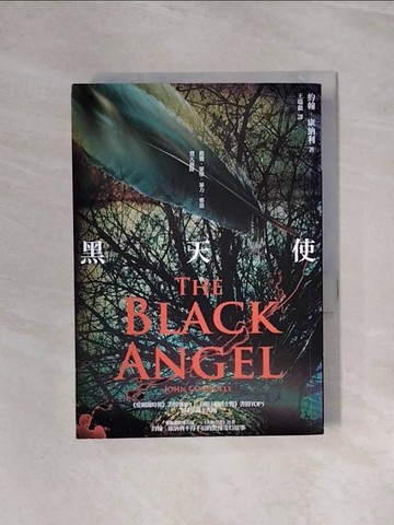 【書寶二手書T5／一般小說_WBG】黑天使_王瑞徽, 約翰．康納利