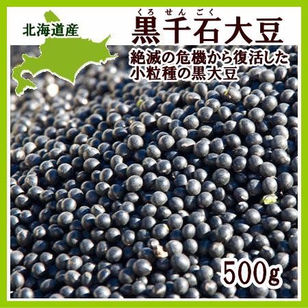 黒千石大豆（500g）×1個 北海道産