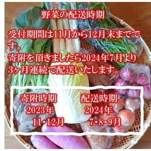 ふるさと納税 たくみのほほ笑みセット（季節の野菜おまかせ７種）＜出荷開始：2024年7月１日〜2024年 9月30日まで.. 長野県佐久市