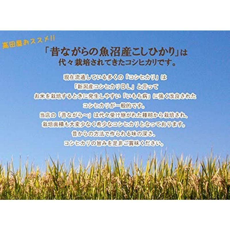 精米 昔ながらの魚沼産こしひかり 白米 5kg×2 令和4年産(10kg)