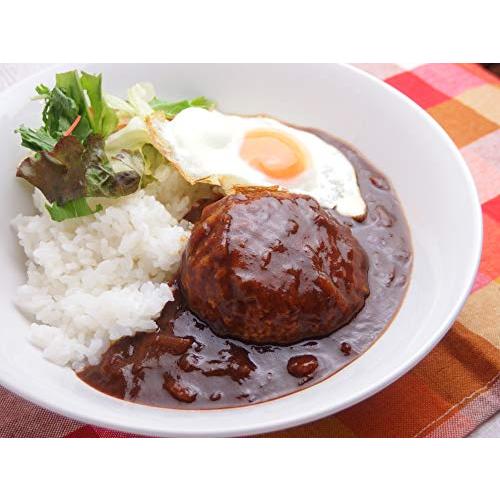 テーオー食品 ハイグレード21カレールウ1kg袋