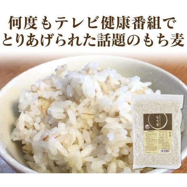 もち麦 国産 500g 全国 産直米 お奨め おすすめ ポイント消化 特産品