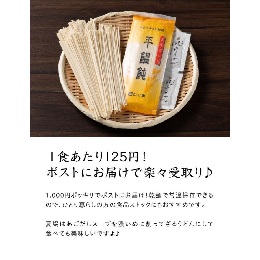 産地直送 九州 お取り寄せ 無添加 あごスープ 平麺 お試し 送料無料