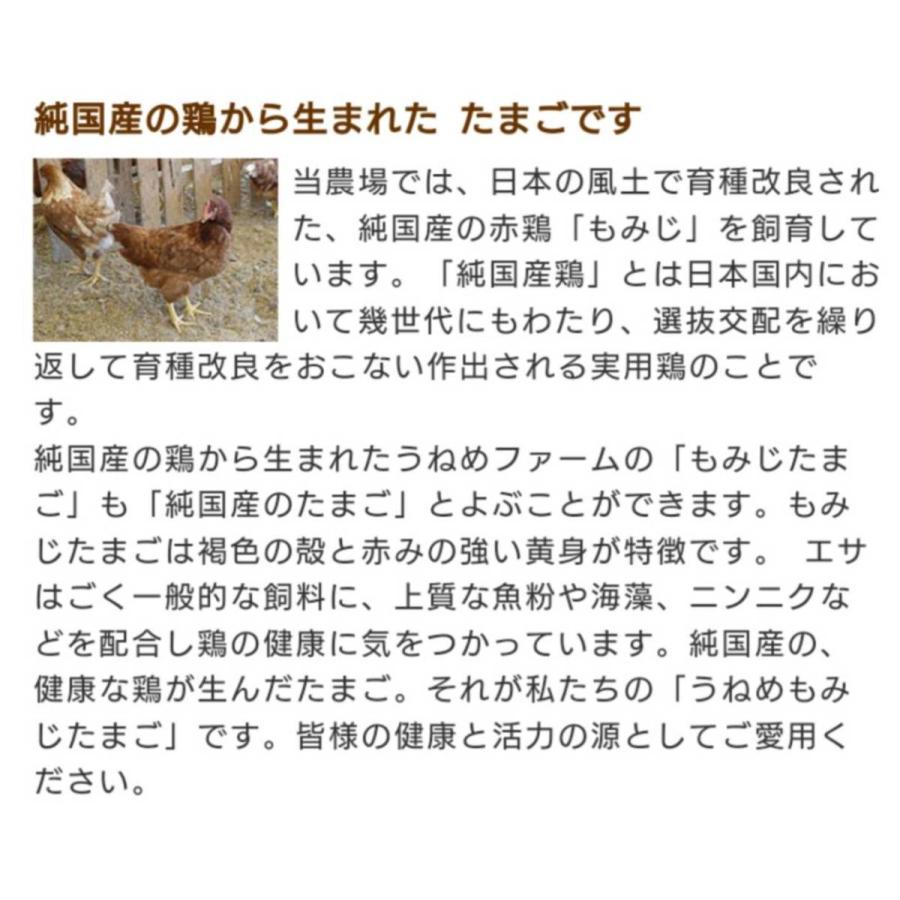 お好み焼  お得な5枚セット   冷凍お好み焼  肉玉 3枚、エビ入り 1枚、イカ入り 1枚  オリジナルソースミニボトル付き