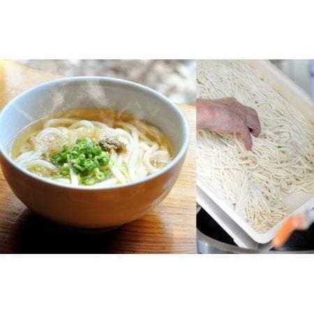 ふるさと納税 純手打ち 冷凍うどん 6人前 (冷凍うどん・かけうどんダシ・天かす付) 宮崎県えびの市