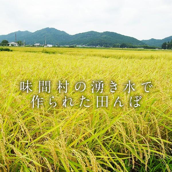 米 お米 新米 丹波篠山湧 水 米(わきみずまい)コシヒカリ(5kg) 令和2年度産 有機たい肥で土つくり 5kg