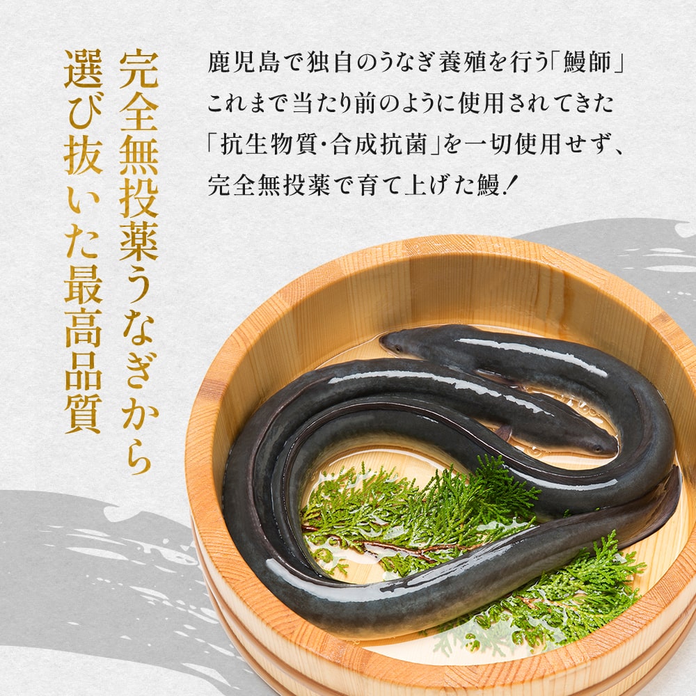 父の日 うなぎ プレゼント ギフト 国産 蒲焼き 2種セット ウナギ 化粧箱 鰻 70代 80代 60代 父の日