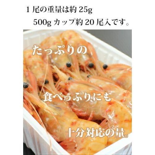 天然ぼたん海老　500g