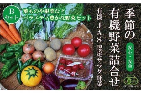 西田農園　季節の野菜詰合せ　Ｂセット 017002