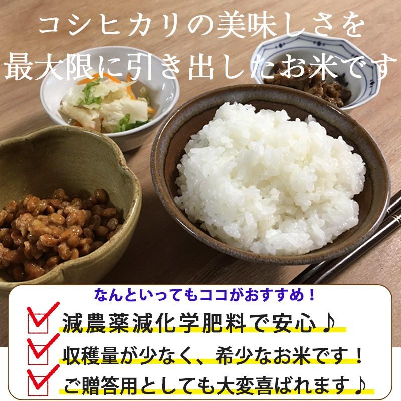 お米 5kg 南魚沼産コシヒカリ 特別栽培米 送料無料 特A 新潟米 こしひかり 米 白米 ギフト 内祝い