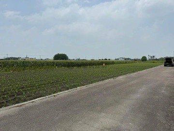 彰化溪州優質稀有臨路大面寬一般農地｜彰化縣溪州鄉綠筍段