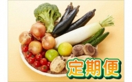 Q-49 鮮度抜群！肥前の国のお野菜詰め合わせセット（8～10品目）