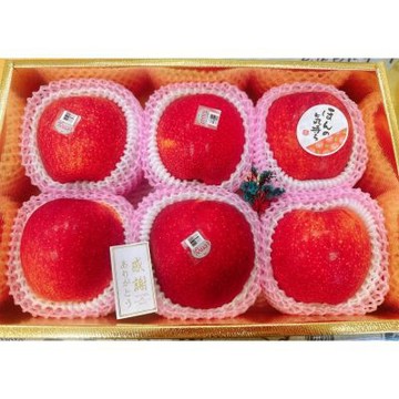 美國 愛妃蘋果-Envy apple 6入禮盒｜美國蘋果禮盒