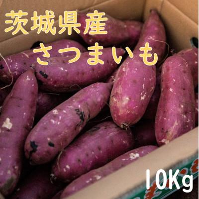 ふるさと納税 かすみがうら市 生さつまいも 紅はるか 10Kg