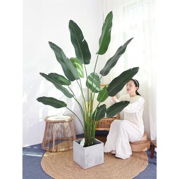 仿真綠植旅人蕉假樹盆栽 客廳室內落地裝飾擺件櫥窗造景仿生植物