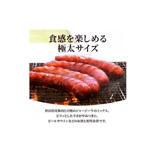 ふるさと納税 秋田県 にかほ市 2本×2袋 牧場のフランクフルト ジャージーポーク 4本セット