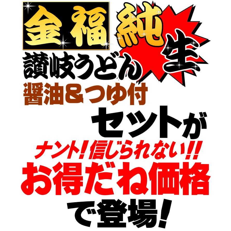 送料無料 金福 純生 讃岐 うどん 16人前 醤油・つゆ付セット