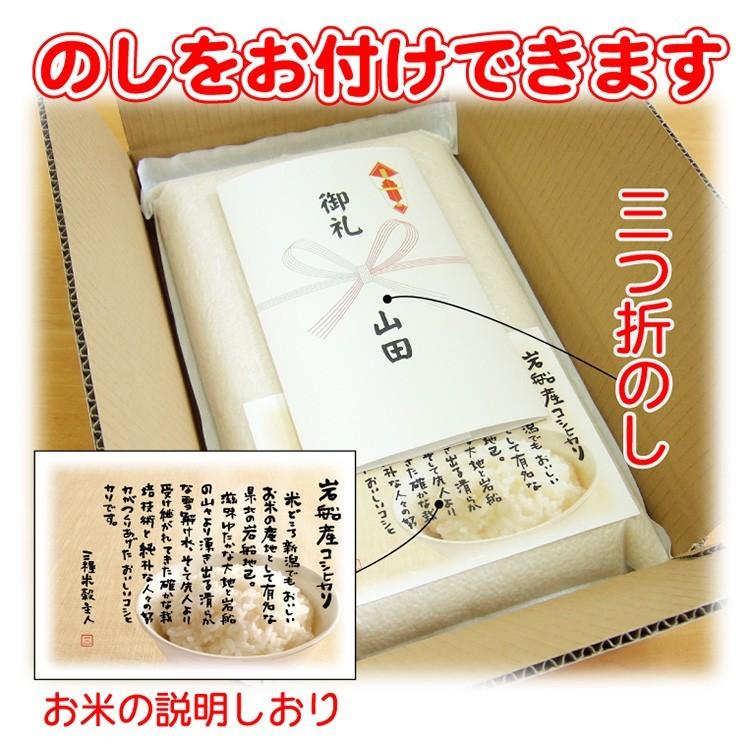 米 岩船産 コシヒカリ 5ｋｇ×2 真空パック こしひかり