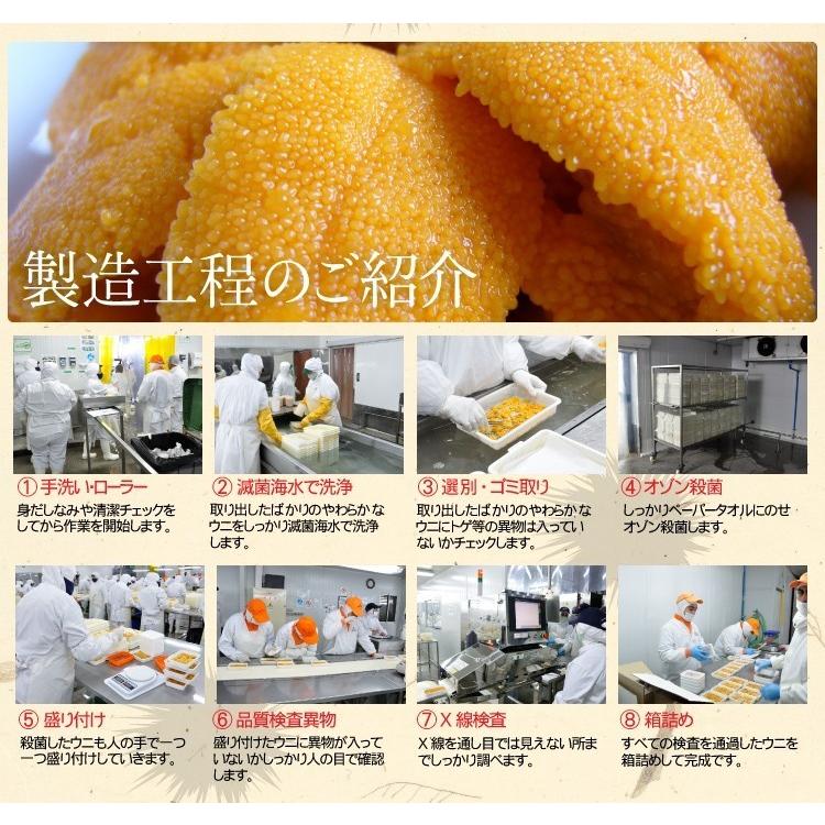 うに ウニ 生ウニ ミョウバン不使用 お刺身OK 無添加 チリ産 生うに お徳用300g  ブランチング処理済 型崩れナシ 雲丹 冷凍便