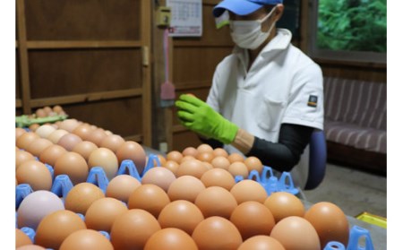 夢まるガーデンの平飼い産み立てたまご  ６０個×３回分