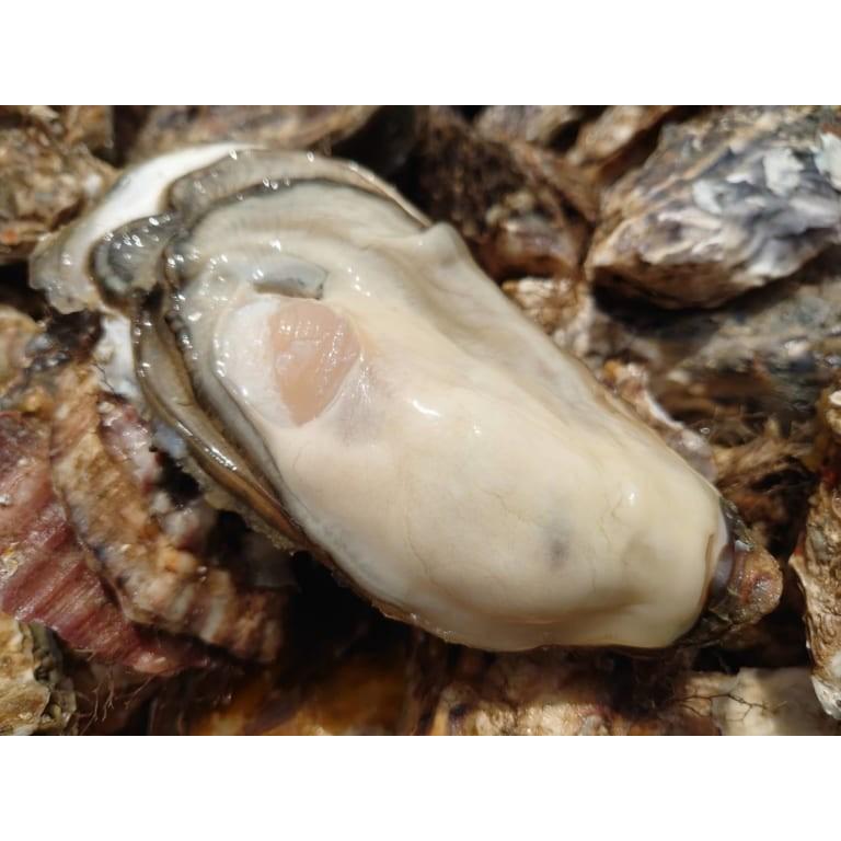 北海道 厚岸産 生牡蠣 「マルえもん」3Lサイズ 20個入 殻付 生食可 漁師直送