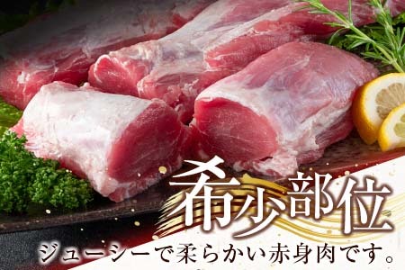 ≪数量限定≫豚ヒレブロック(計3kg以上)　肉　豚　豚肉　国産 CC37-23