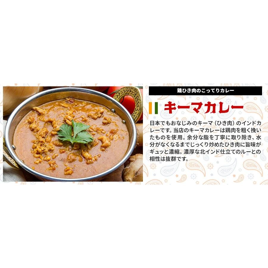 ナンカレーセットB 送料無料 インドカレー インド料理 セット商品