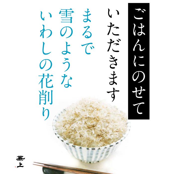 カネジョウ いわし削り 45g×4袋 無添加 食塩不使用 国産