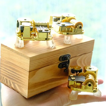Lion's Pads Music Box Music Comb by ETPLANT
