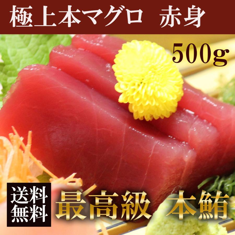 まぐろ 極上本マグロ 赤身 500g(250g×2) 柵 塊  刺身 冷凍 ギフト お歳暮 高級 ネギトロ 送料無料