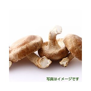 熊本県産小粒どんこ椎茸　１ｋｇ