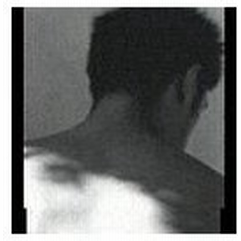 Cda 平井堅 Life Is Another Story 通販 Lineポイント最大get Lineショッピング