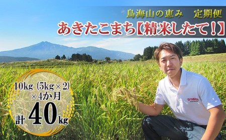 10kg（5kg×2袋）×4ヶ月 鳥海山の恵み 農家直送！ あきたこまち［精米 したて！］