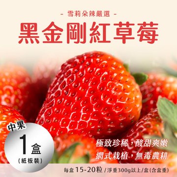 【雪莉朵辣嚴選】黑金剛紅草莓 (中果/15-20粒/淨重300g/盒)x1盒