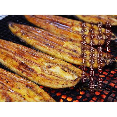 ふるさと納税 鹿屋市 うなぎ問屋の厳選!備長炭手焼　うなぎ蒲焼2尾(280g) 1772-1